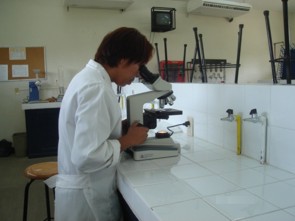Licenciatura en Biolog�a