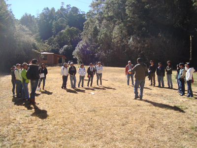 Ingeniería Forestal