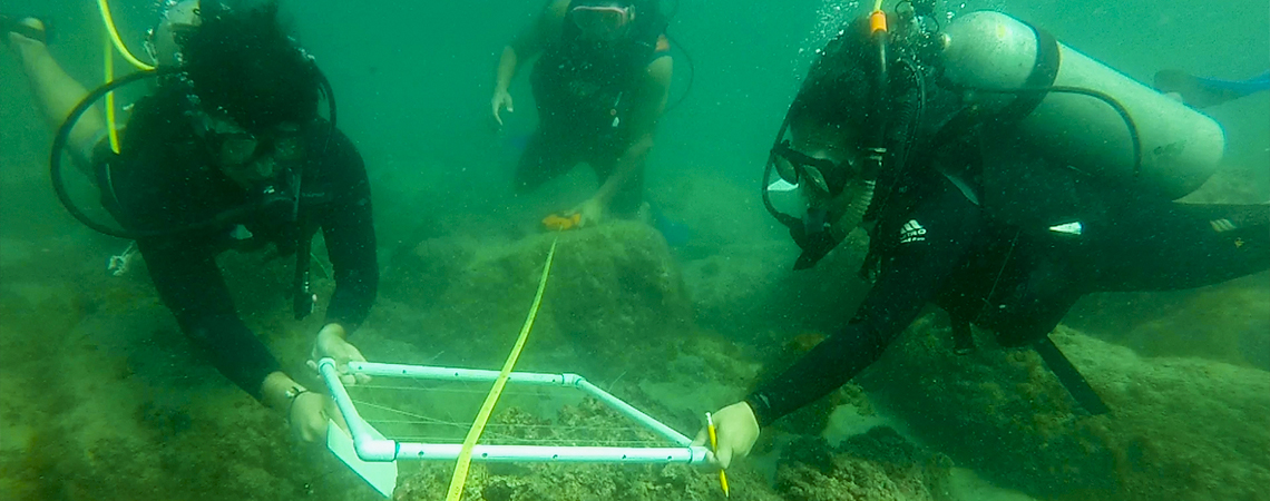 Licenciatura en Oceanología