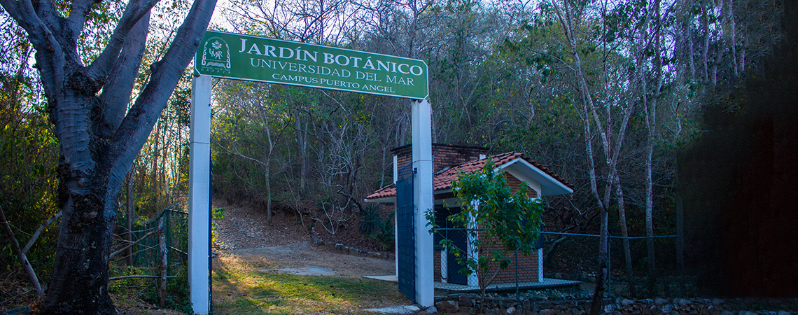 Instituto de Ecología