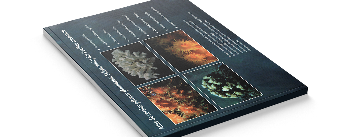 Atlas de corales pétreos (Anthozoa: Scleractinia) del Pacífico mexicano Atlas de corales pétreos (Anthozoa: Scleractinia) del Pacífico mexicano
