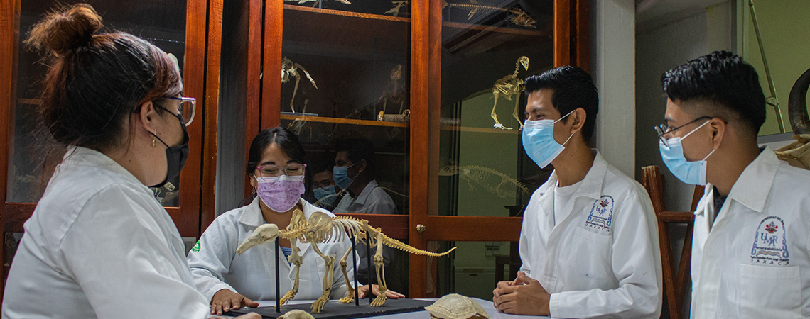 Licenciatura en Biología