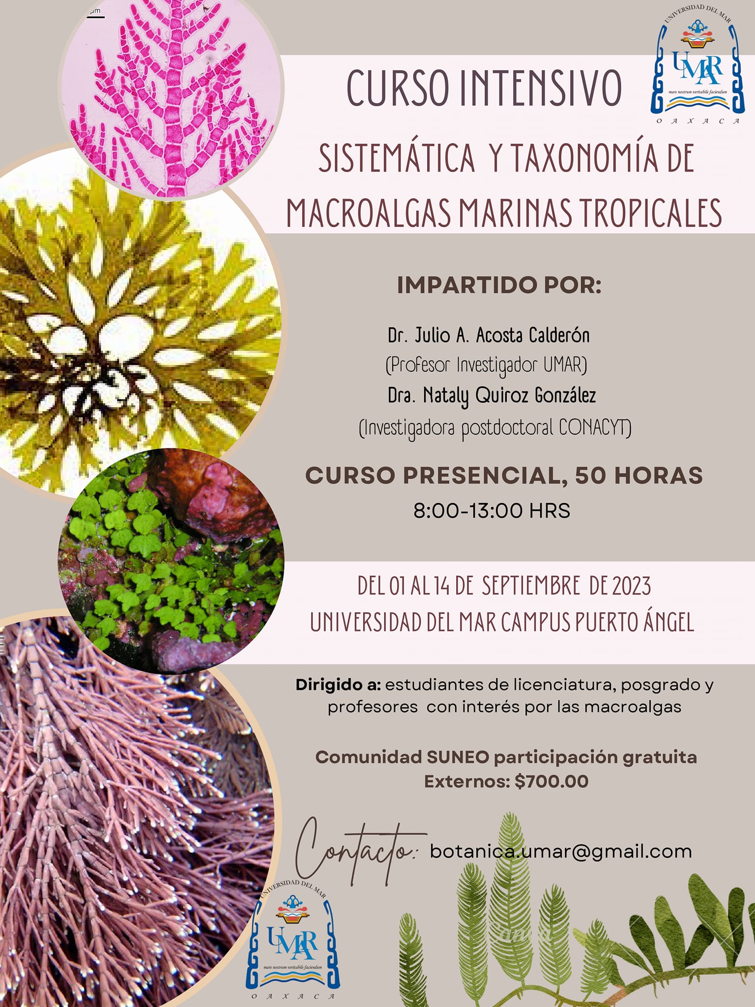 2023-08-22-curso_intensivo_sistematica_taxonomia