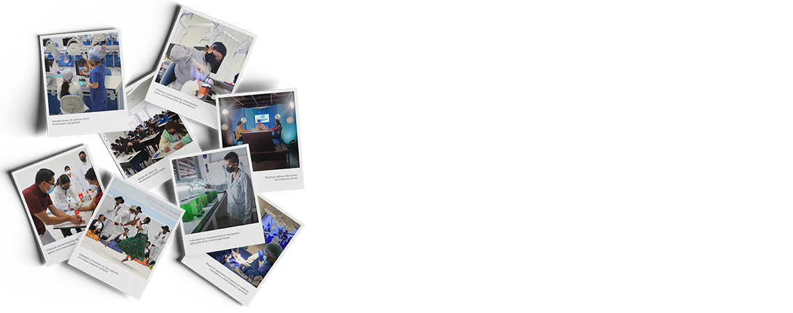Ingreso 2023