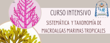 2023-08-22-curso_intensivo_sistematica_taxonomia