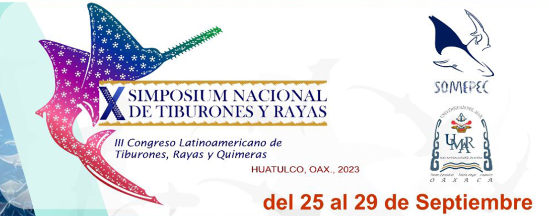 tiburones_rayas_quimeras